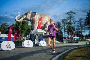 BIB: 
                            <button type="button" onclick="openModal(26541562)" class="btn btn-primary btn-sm float-right btn-popup" data-toggle="modal" data-target=".modal-high-quality">
                        <i class="fas fa-shopping-cart"></i> Add to Cart
                    </button>
                                            <button type="button" onclick="isThisMe(26541562, true)" class="btn btn-success btn-sm float-right btn-popup btn-isme hidden" data-toggle="tooltip" data-placement="bottom" title="นี่คือรูปของคุณใช่ไหม คลิกที่นี่เพื่อเอาเข้าอัลบั้ม">
                        <i class="fas fa-plus"></i> Add to album
                    </button>
                    <button type="button" onclick="isThisMe(26541562, false)" class="btn btn-warning btn-sm float-right btn-popup btn-isnotme hidden">
                        <i class="fas fa-ban"></i> Remove from album
                    </button>